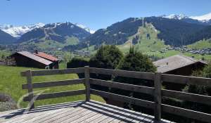 Location Appartement Saanen