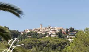 Location Maison Mougins