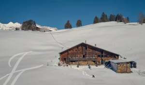 Location saisonnière Chalet Flendruz