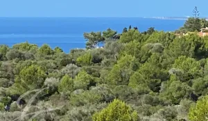 Location saisonnière Villa Alaior