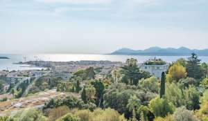 Vente Appartement Cannes