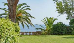 Vente Appartement Cannes