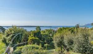 Vente Appartement Cannes