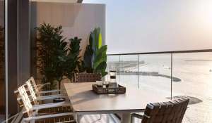 Vente Appartement Dubai