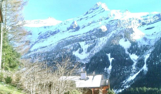 Vente Appartement Les Diablerets