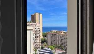 Vente Appartement Monaco