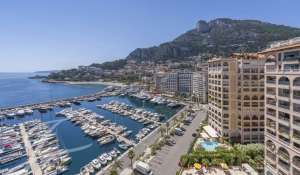 Vente Appartement Monaco