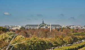 Vente Appartement Paris 1er