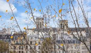 Vente Appartement Paris 1er