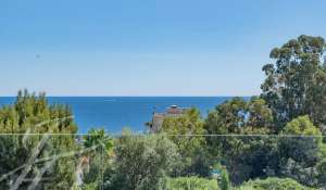 Vente Appartement Vallauris