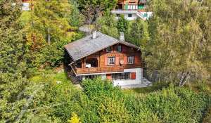 Vente Chalet Arbaz