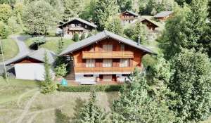 Vente Chalet Les Diablerets