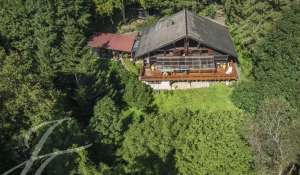 Vente Chalet Monthey