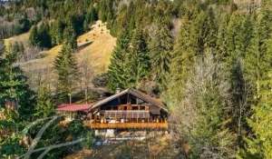 Vente Chalet Monthey