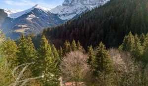 Vente Chalet Morgins