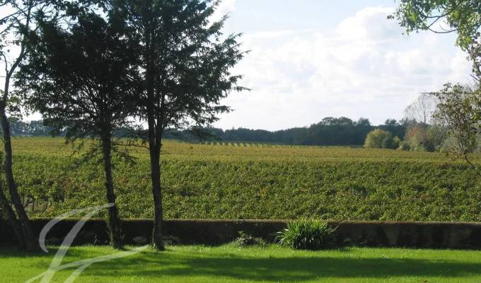 Vente Château Bordeaux