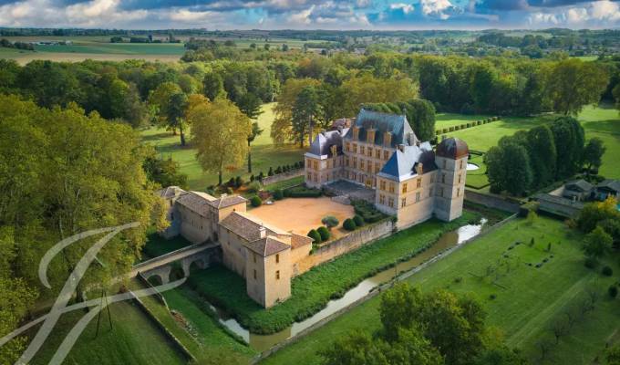 Vente Château Fareins