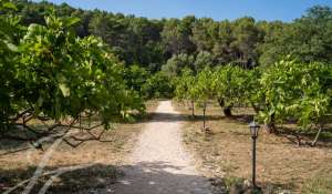 Vente Château Hyères