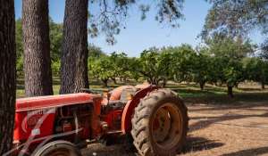 Vente Château Hyères