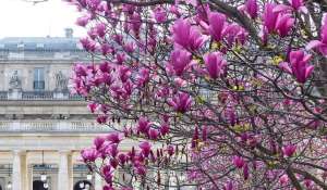 Vente Hôtel particulier Paris 1er