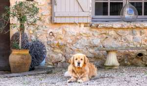 Vente Maison Le Rouret