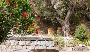 Vente Maison Saint-Paul-de-Vence