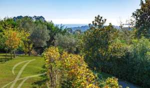 Vente Maison Saint-Paul-de-Vence