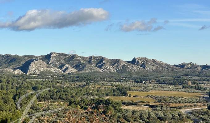 Vente Mas Saint-Rémy-de-Provence