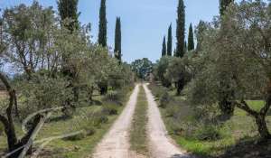 Vente Mas Saint-Saturnin-lès-Apt