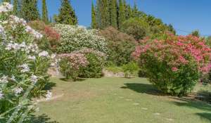 Vente Propriété Auribeau-sur-Siagne