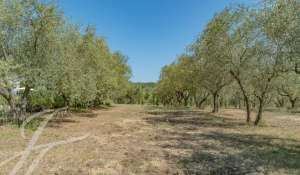 Vente Propriété Châteauneuf-Grasse