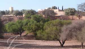 Vente Propriété Essaouira