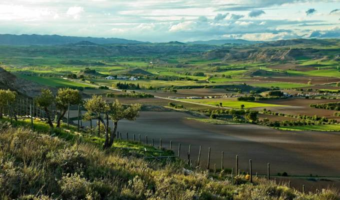 Vente Propriété viticole Cuenca