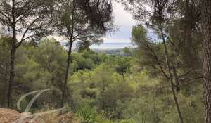 Vente Terrain constructible Palma de Mallorca