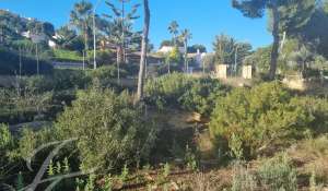 Vente Terrain constructible Santa Ponsa