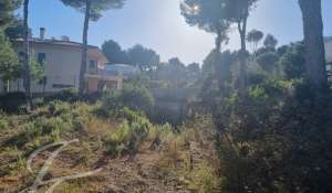 Vente Terrain constructible Santa Ponsa