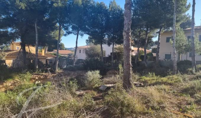 Vente Terrain constructible Santa Ponsa