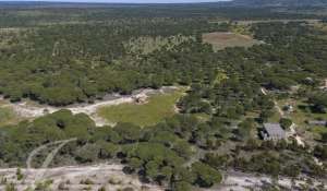 Vente Terrain Grândola