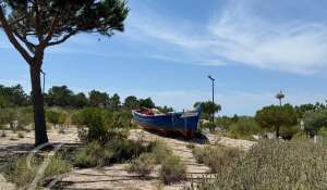 Vente Terrain Grândola