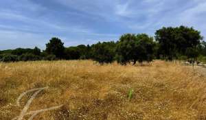 Vente Terrain Grândola