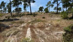 Vente Terrain Grândola