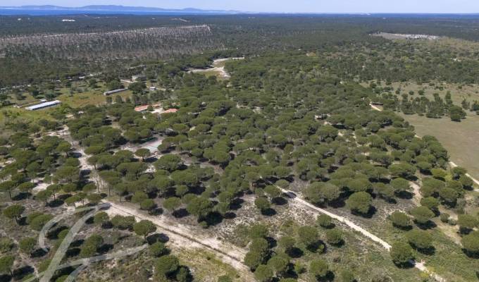 Vente Terrain Grândola