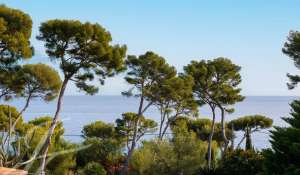 Vente Villa Antibes