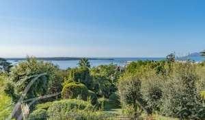 Vente Villa Cannes