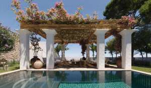 Vente Villa Cap Martinet