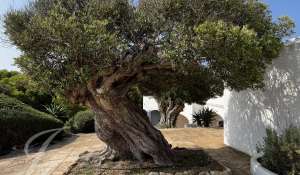 Vente Villa Ciutadella de Menorca