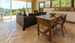 Vente Villa Mougins