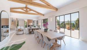 Vente Villa Mougins