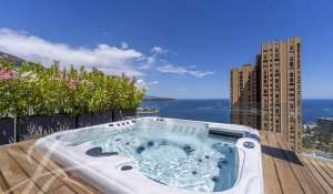 Vente Villa sur toit Monaco