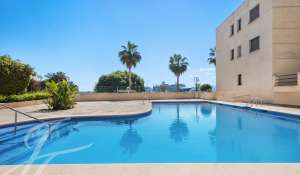 Vente Villa sur toit Palma de Mallorca